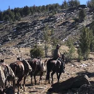 Meet your Posher, Paul